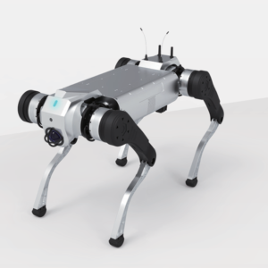 Security inspection robot dog